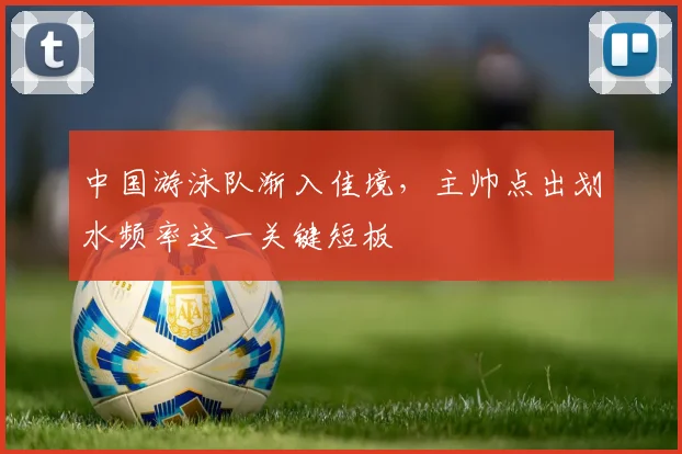 中国游泳队渐入佳境，主帅点出划水频率这一关键短板